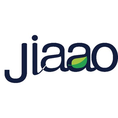 jiaao memory foam pillow