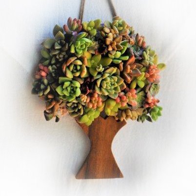 Be consumed by your interest, embrace it, love it. Above all become passionate about it. Never be lukewarm. Bespoke Botanicals is that and more. Living art!