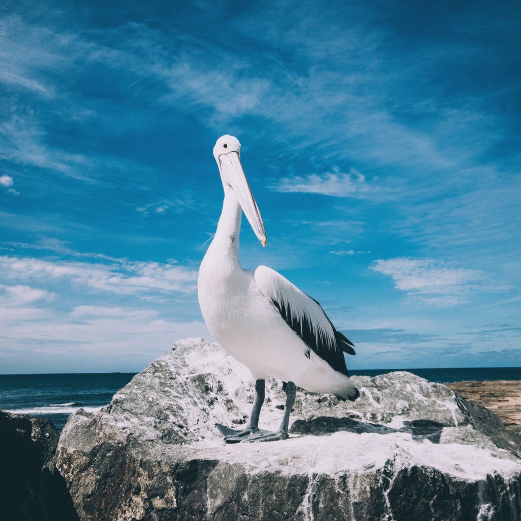 Found a life to suit my style living on the Leisure Coast here in Wollongong. Beautiful beaches, cycling the scenery. Talks about commercial property a bit.