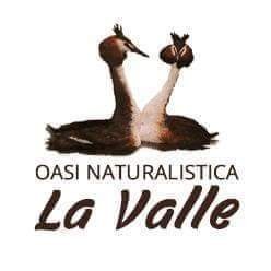 Oasi la Valleさんのプロフィール画像