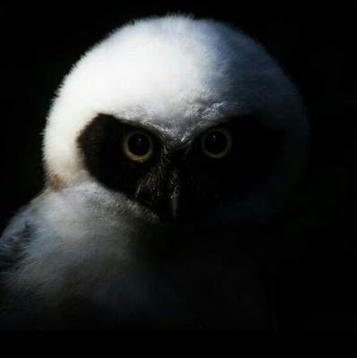 SilviaCbo's profile picture. esperando al euromillón de mi vida....