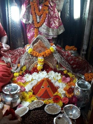 ISHAANKASHYAP14's profile picture. astrology