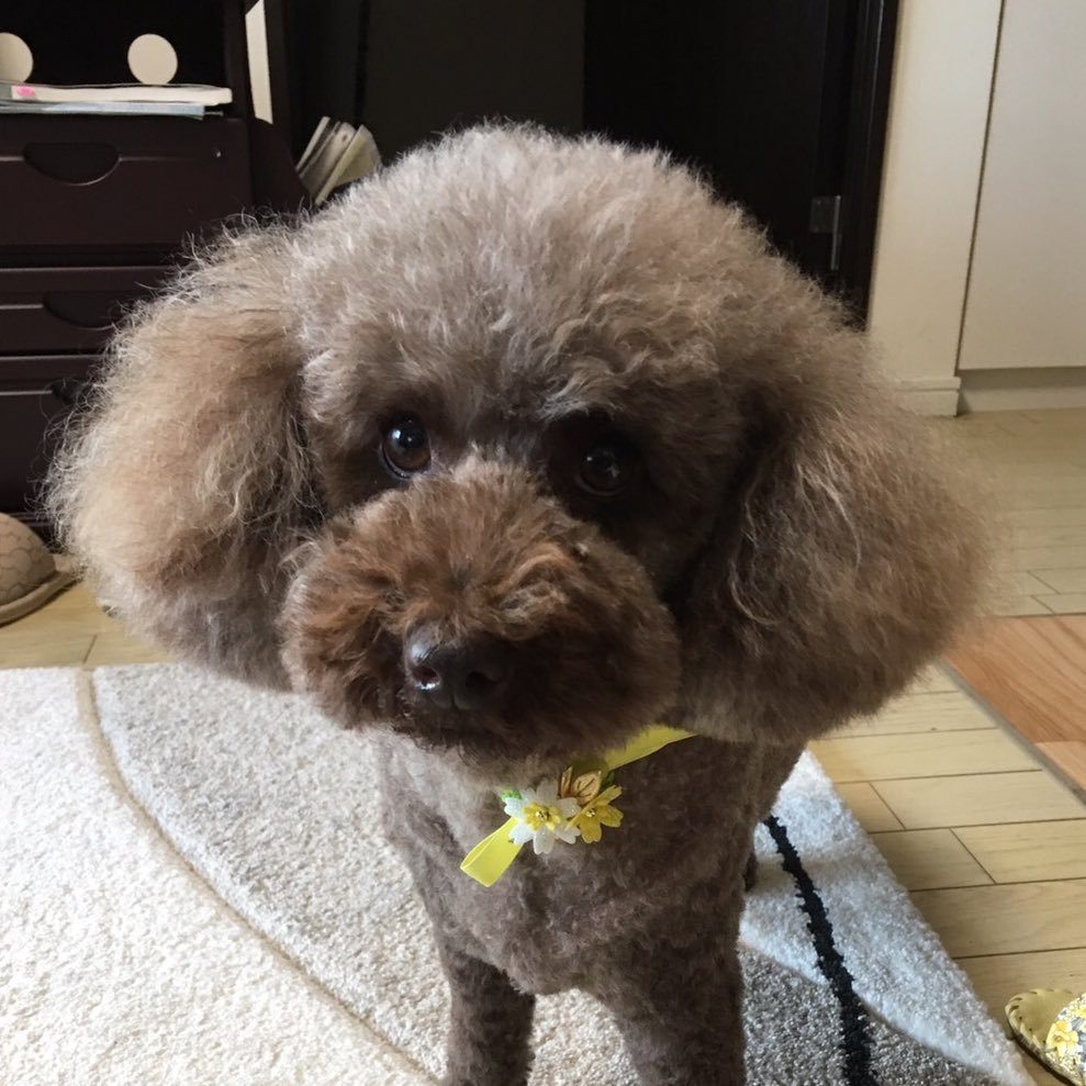 monakkaya's profile picture. 