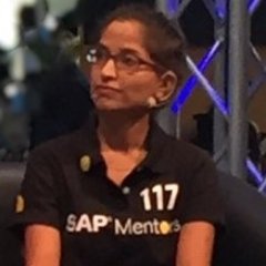 SAP Architect, Polymath. Technology Strategist.