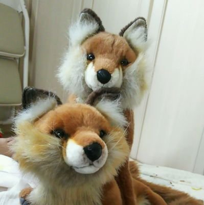 ヒロキロさんのプロフィール画像
