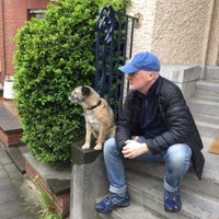 Noel White (@noelwhite2013) 's Twitter Profile Photo