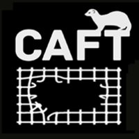 CAFT(@CAFT_UK) 's Twitter Profileg