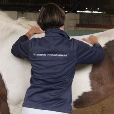 Qualified Veterinary Physiotherapist based Nr Grantham Lincs. 20 yrs experience working with horses. Rehabilitation Livery, Spa, excellent facilities.