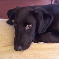 CarolMay (@carolmay29) 's Twitter Profile