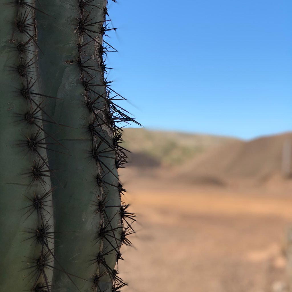 Building Materials Executive @ CEMEX, Runner and Crossfiter.  All views are my own.