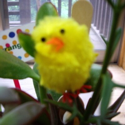 めいむ工房