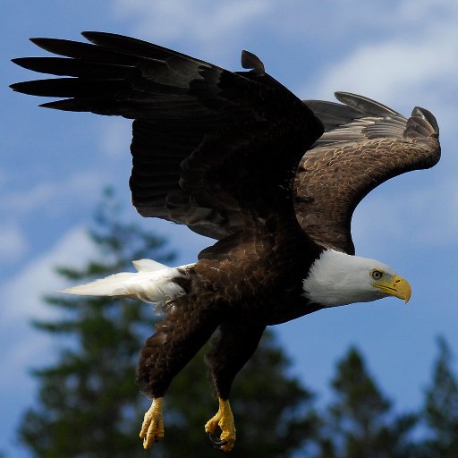 visitorsdigest's profile picture. Retired journalist