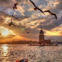 Sümeyra Kurt (@kurtsumyra) Twitter profile photo