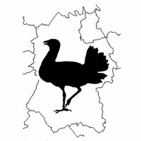 Wiltshire Bird News (@wiltsbirdnews) 's Twitter Profile