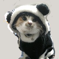 katze (@nekokockakatze) Twitter profile photo