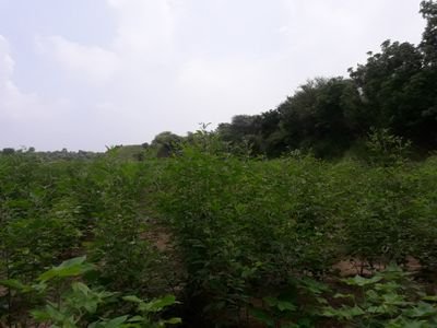 apparcha's profile picture. Work