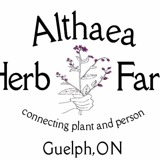 Grower and Producer of Fine Herbal Teas