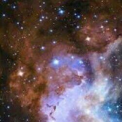 空(垢消します)さんのプロフィール画像