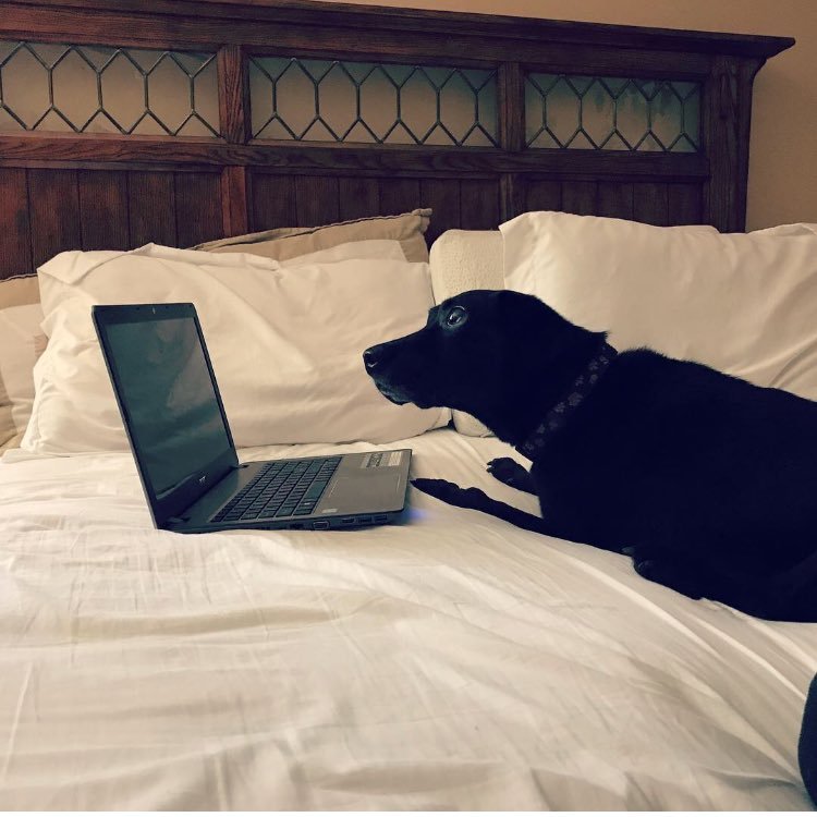 A_Page88's profile picture. I just wanna say ... help your fellow human.