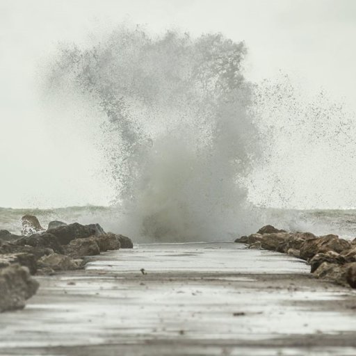 Scotruf1405's profile picture. 