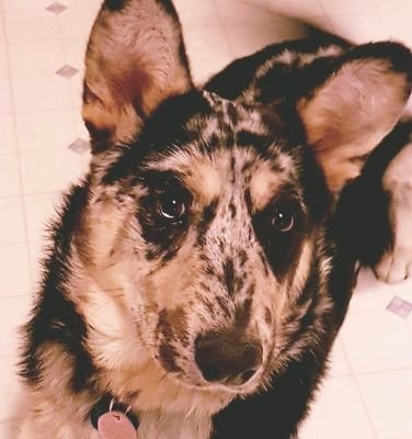 gaibourfield's profile picture. Started at the dump now I'm here.