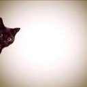 Tamara Brunner - @TamaraBrunner77 - Twitter