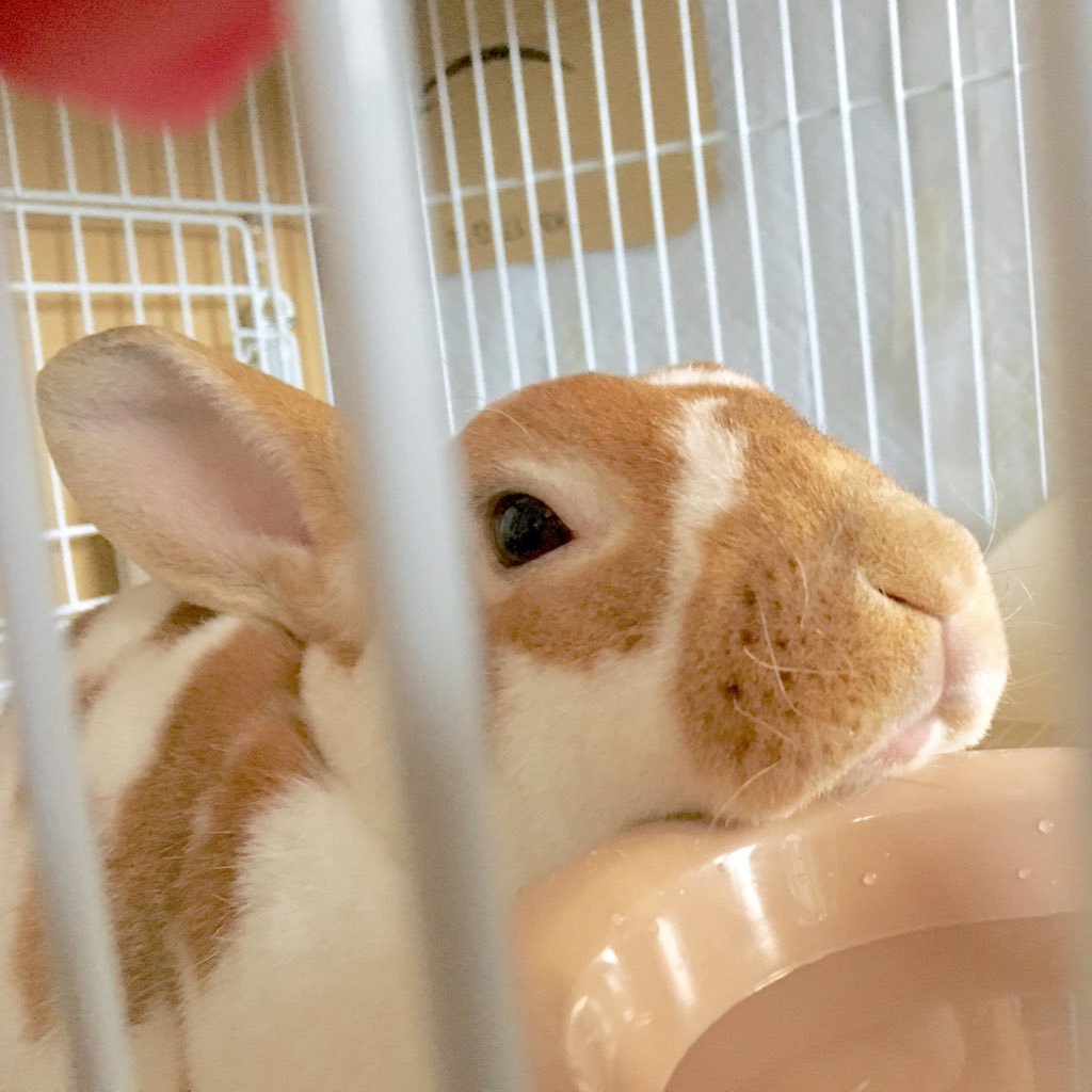 なまにくちゃんさんのプロフィール画像