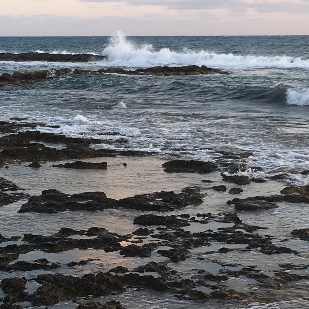 BDP1981's profile picture. .