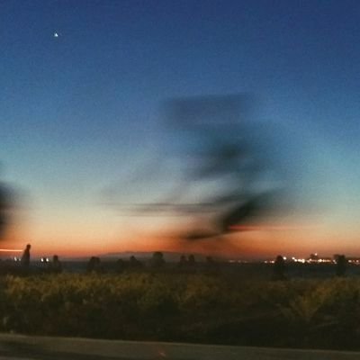 pandaesthetics's profile picture. 