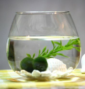 hatch_m1081's profile picture. でも生きて行かなくちゃなぁ