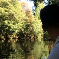 JoshBln_'s profile picture. 