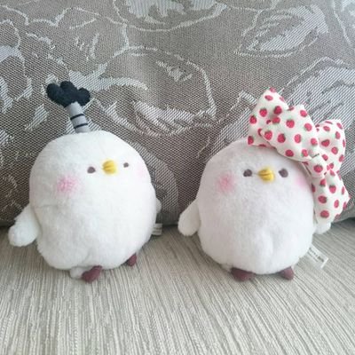 maikoさんのプロフィール画像