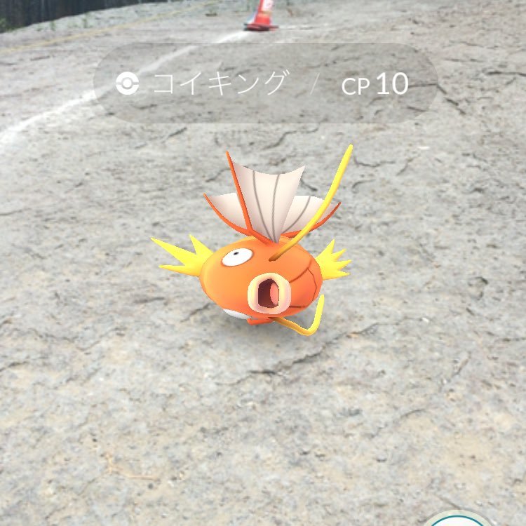 gjgjtjtjaa's profile picture. 為替、設定狙い、ネットビジネスとかの情報とかはウェルカムー！ちな日本の国外で稼働めーん