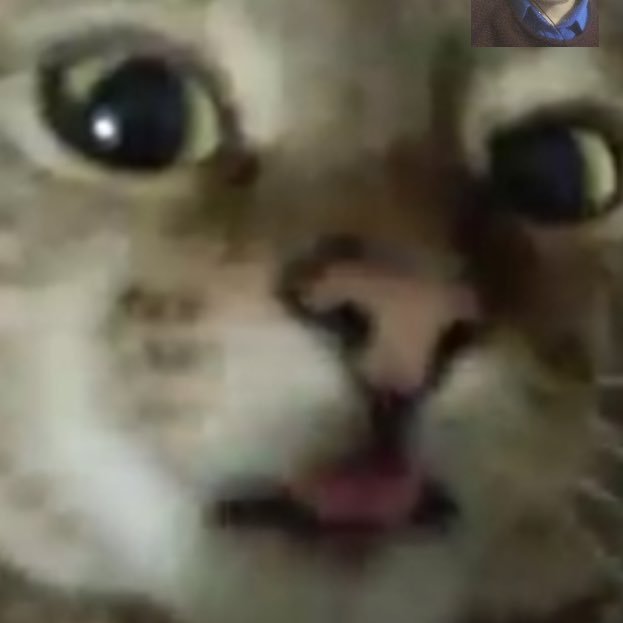 flashbllack's profile picture. Рэпер, поэт и просто Серёжа