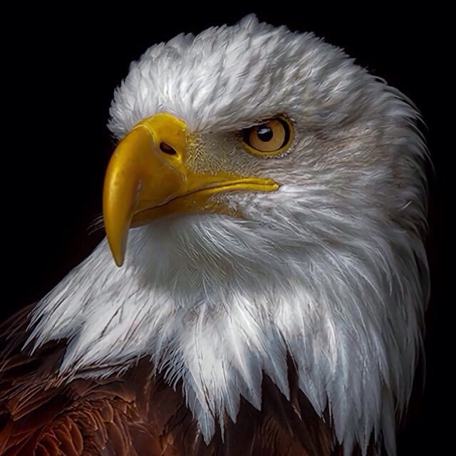 newsmaisabkuch's profile picture. ✊️👊