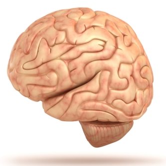 cryptocognition's profile picture. I am into Bitcoin, Litecoin, Ethereum and many other Crypto Currencies