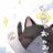 samon_1212