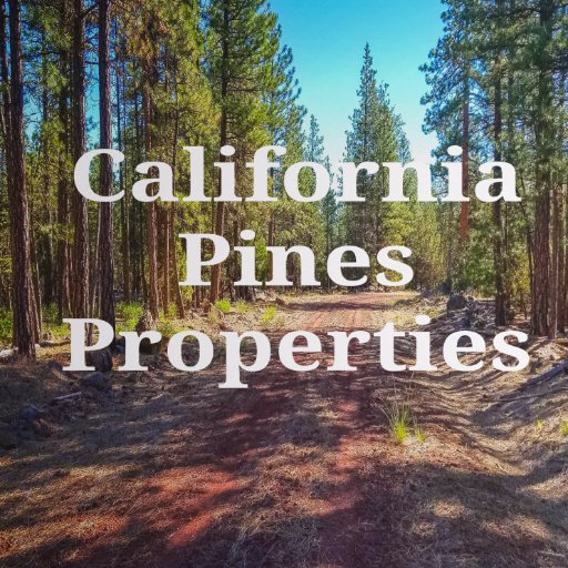 cal_pines's profile picture. 