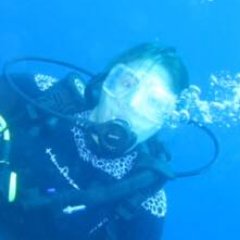 techiestephanie's profile picture. 