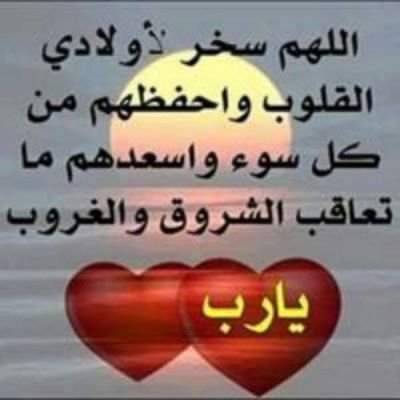أستاذ مساعد الأدب والنقد / جامعة حائل