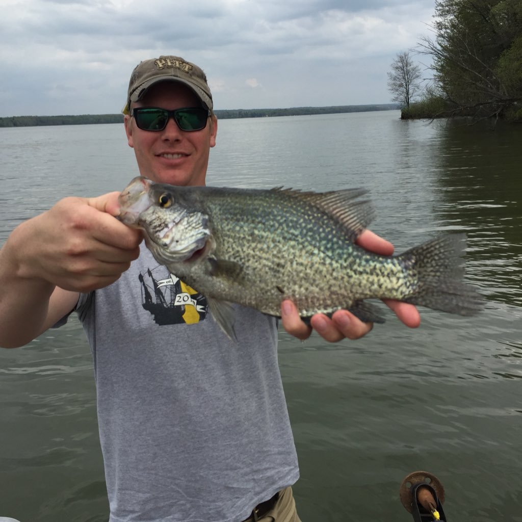 Darrenvescovi's profile picture. while(stillAlive()){do what you want to do}