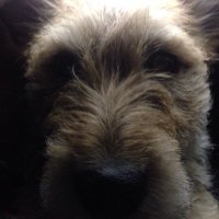 JP (@j_p_jacques) 's Twitter Profile