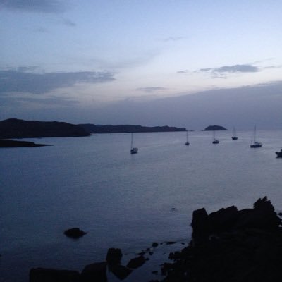 febrersenseerra's profile picture. 