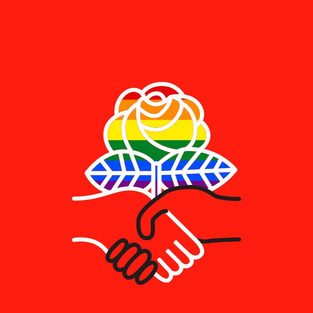 DSA's Queer Socialist Working Group. We're here for LGBTQ+ rights and liberation. 🏳️‍🌈🌹🏳️‍🌈 email: queersocialists@dsausa.org