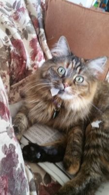 JamesonSydnie's profile picture. 