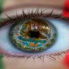 México Duele, Llora Muertes de Inocentes Con Gobierno Asesino.