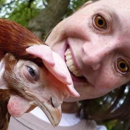 realchickentarg's profile picture. 