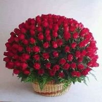 mdhadisurrahm18's profile picture. News