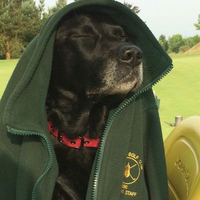 Greenkeeper at St Enodoc GC.Passion for fine turfgrass Greenkeeping and Great Outdoors