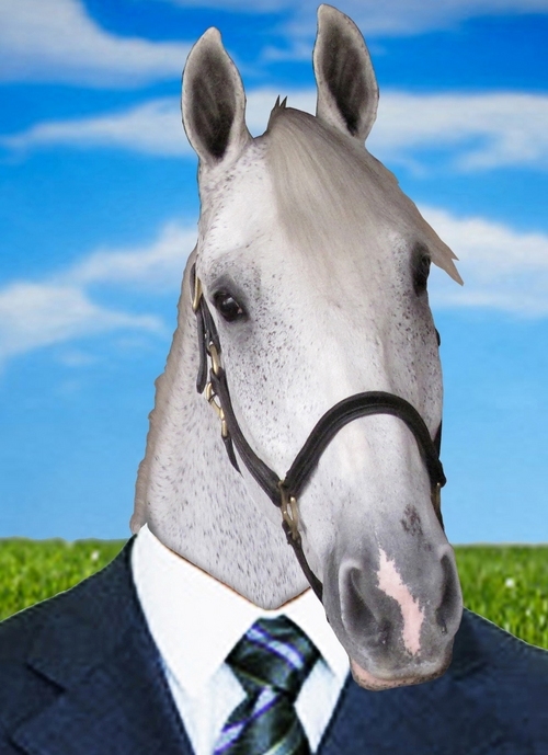 NipBuck's profile picture. Having started like as a Children's Jumper, I'm now keen to strike out on my own as an internet media mogul. Do you like my suit?